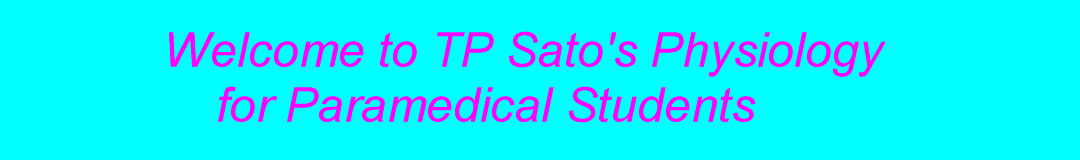 TP Sato's Physiology
